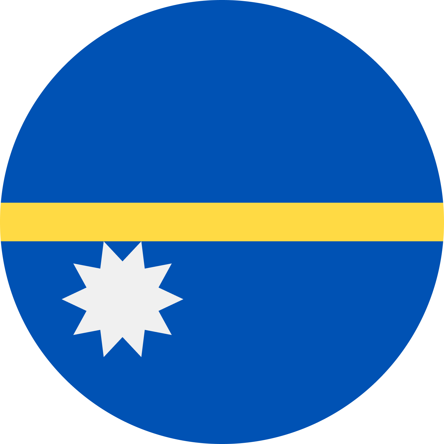 NR flag