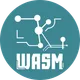 ZKWASM