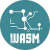 ZKWASM Token