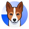 Basenji
