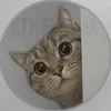 NALA