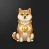Aster INU