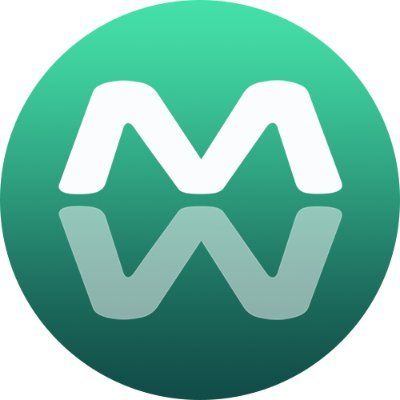 MetaMirror
