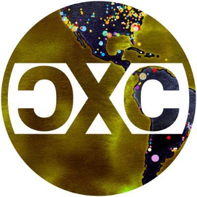 cXc.world